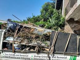 Best Furniture Removal  in Grenada, MS