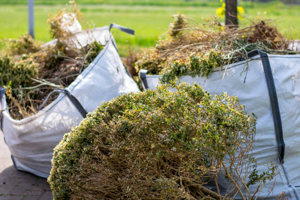 Best Property Management Cleanouts  in Grenada, MS